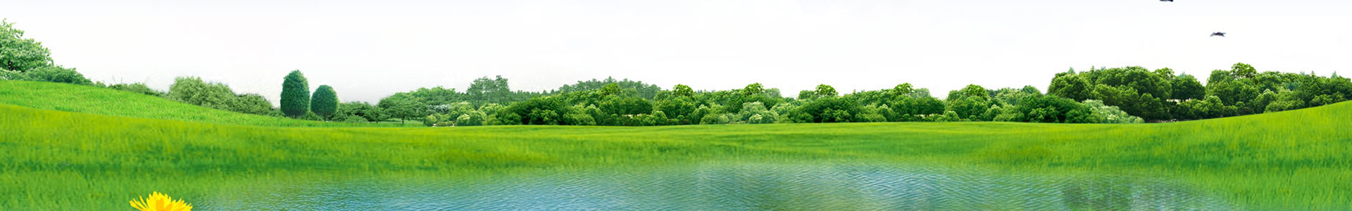 這(zhè)是(shì)描述信息